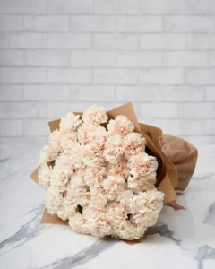Special Carnation