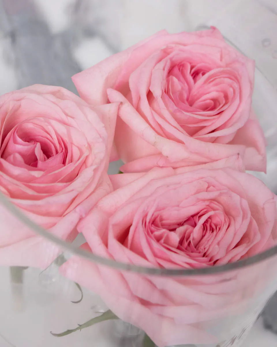 triple pink ohara detailed 3