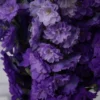 whimsical delphinium purple detailed 1