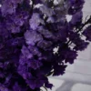 whimsical delphinium purple detailed 2