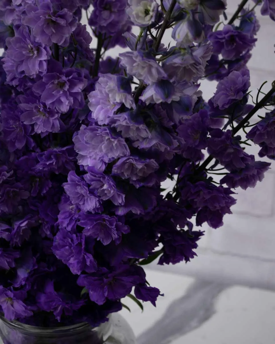 whimsical delphinium purple detailed 2