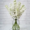 whimsical delphinium white