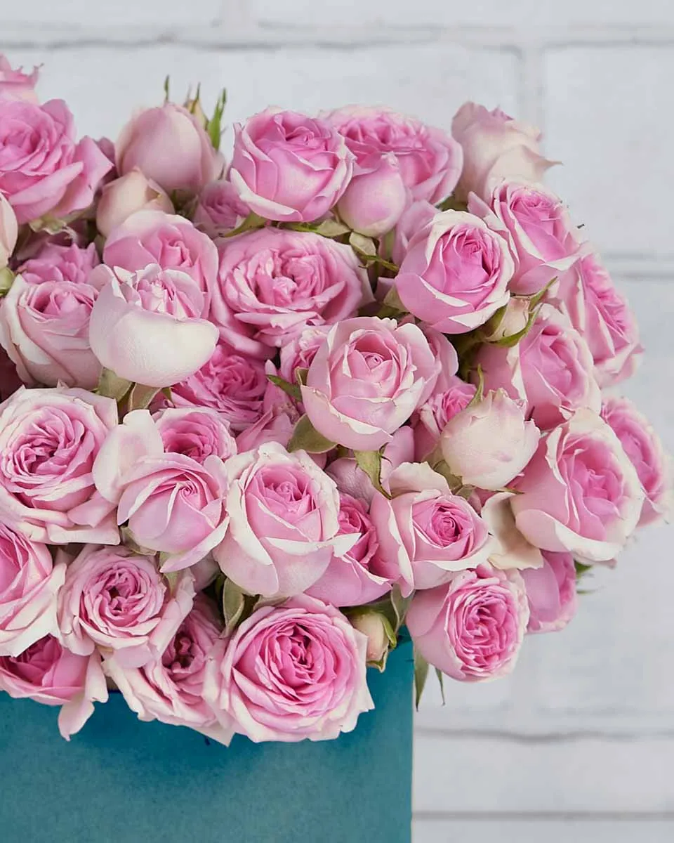 Dayanara Medium Blue Details