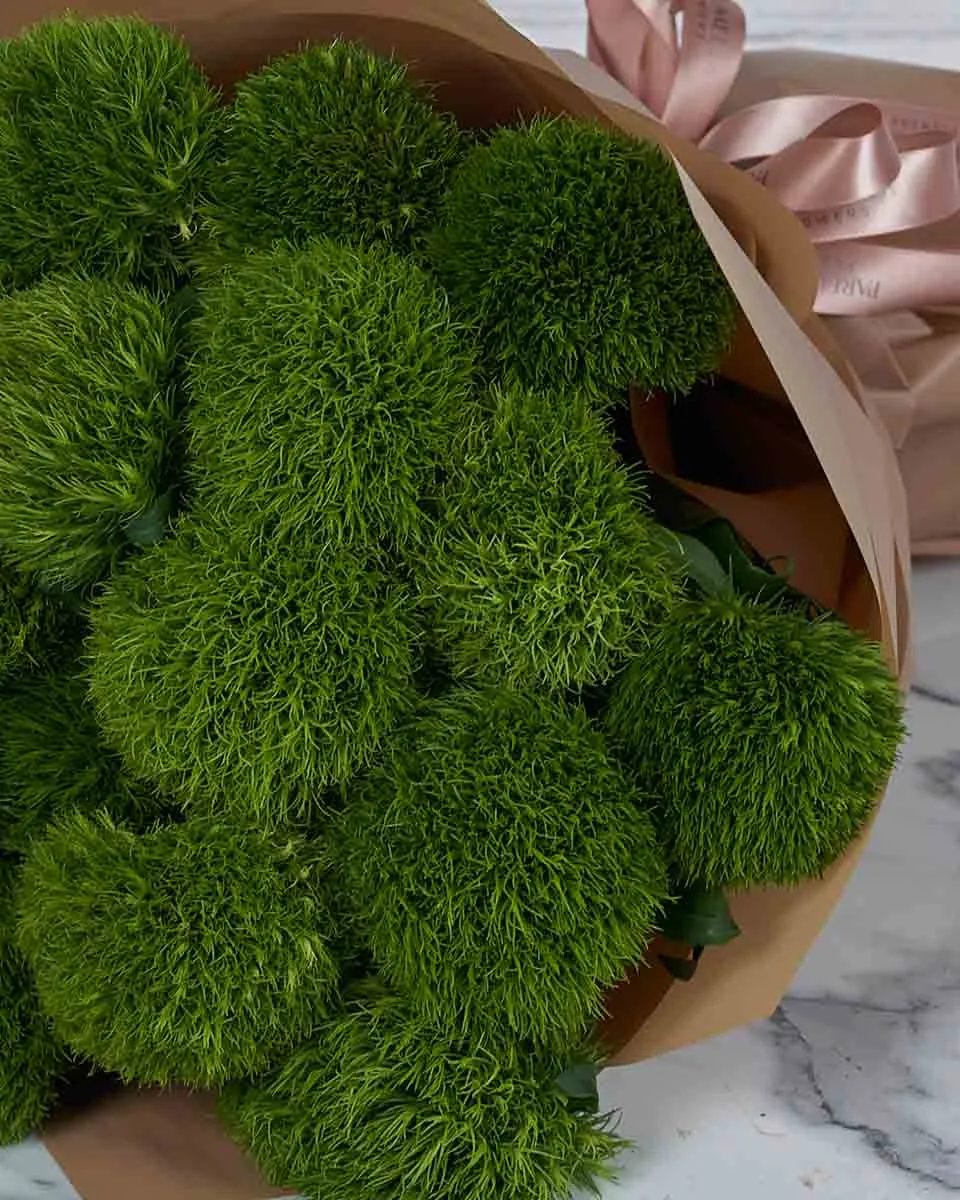 Green Diva  30 Brown Details