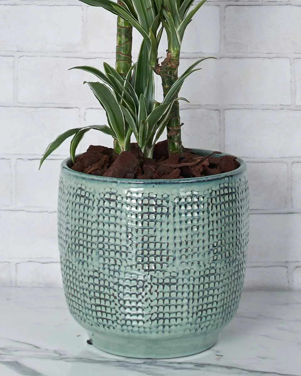 Green Inspiration Details