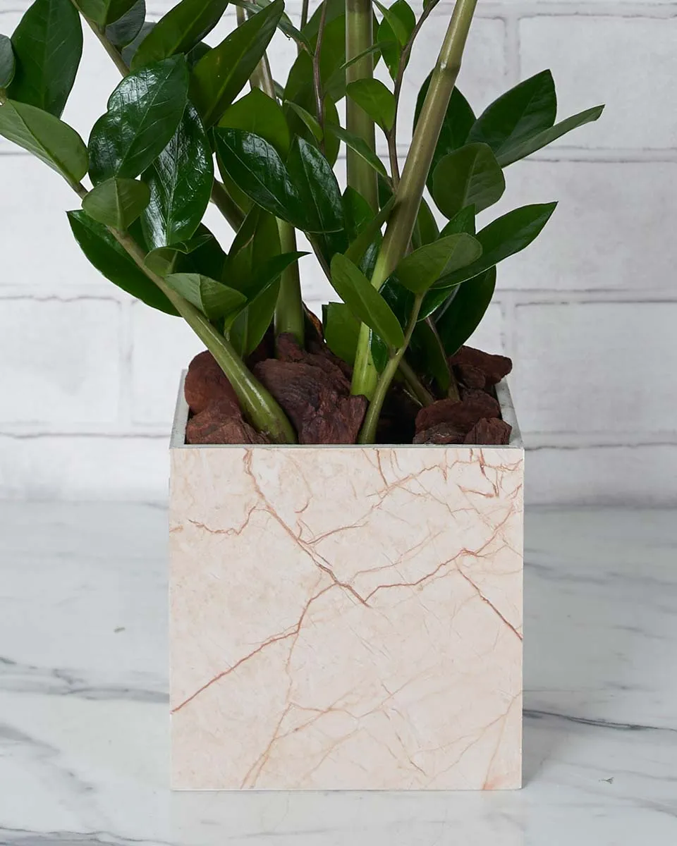 Long Lasting Green Details