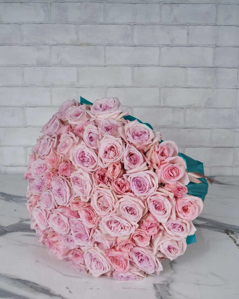 Mega Pink Ohara   Blue