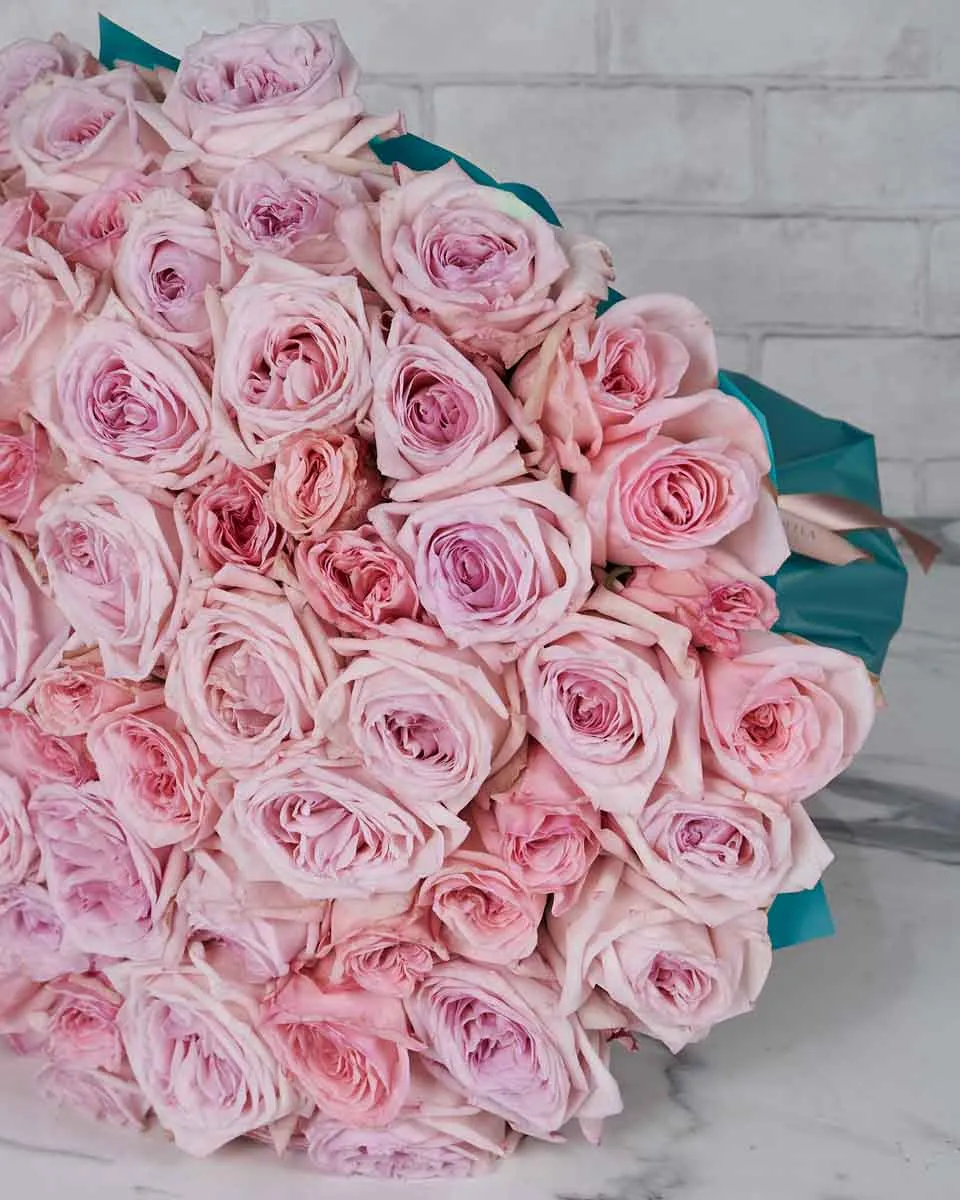 Mega Pink Ohara  Blue Details