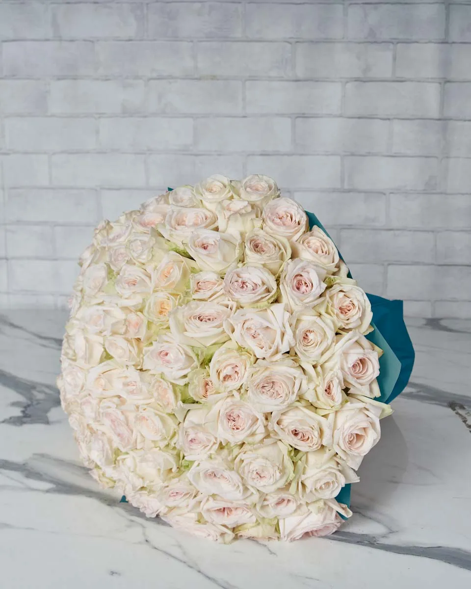 Mega White Ohara  Blue