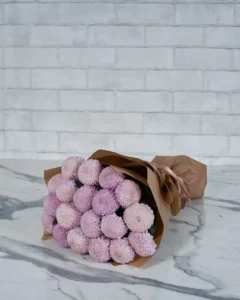 Miss Chrysanthemum