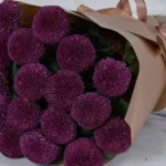 Miss Chrysanthemum Pingpong Purple  Brown Details