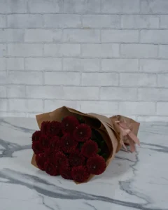 Miss Chrysanthemum Red