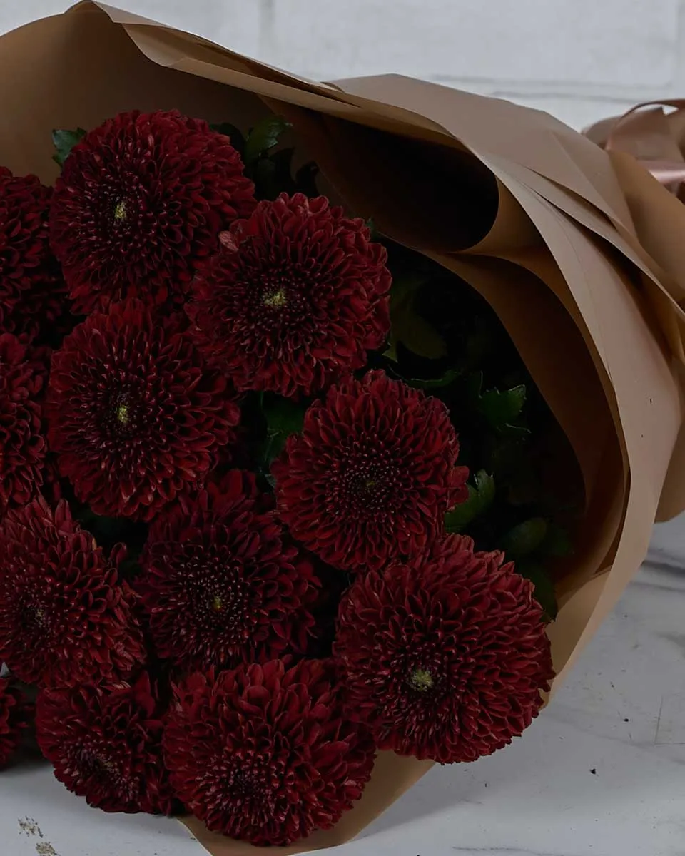 Miss Chrysanthemum Pingpong Red  Brown Details