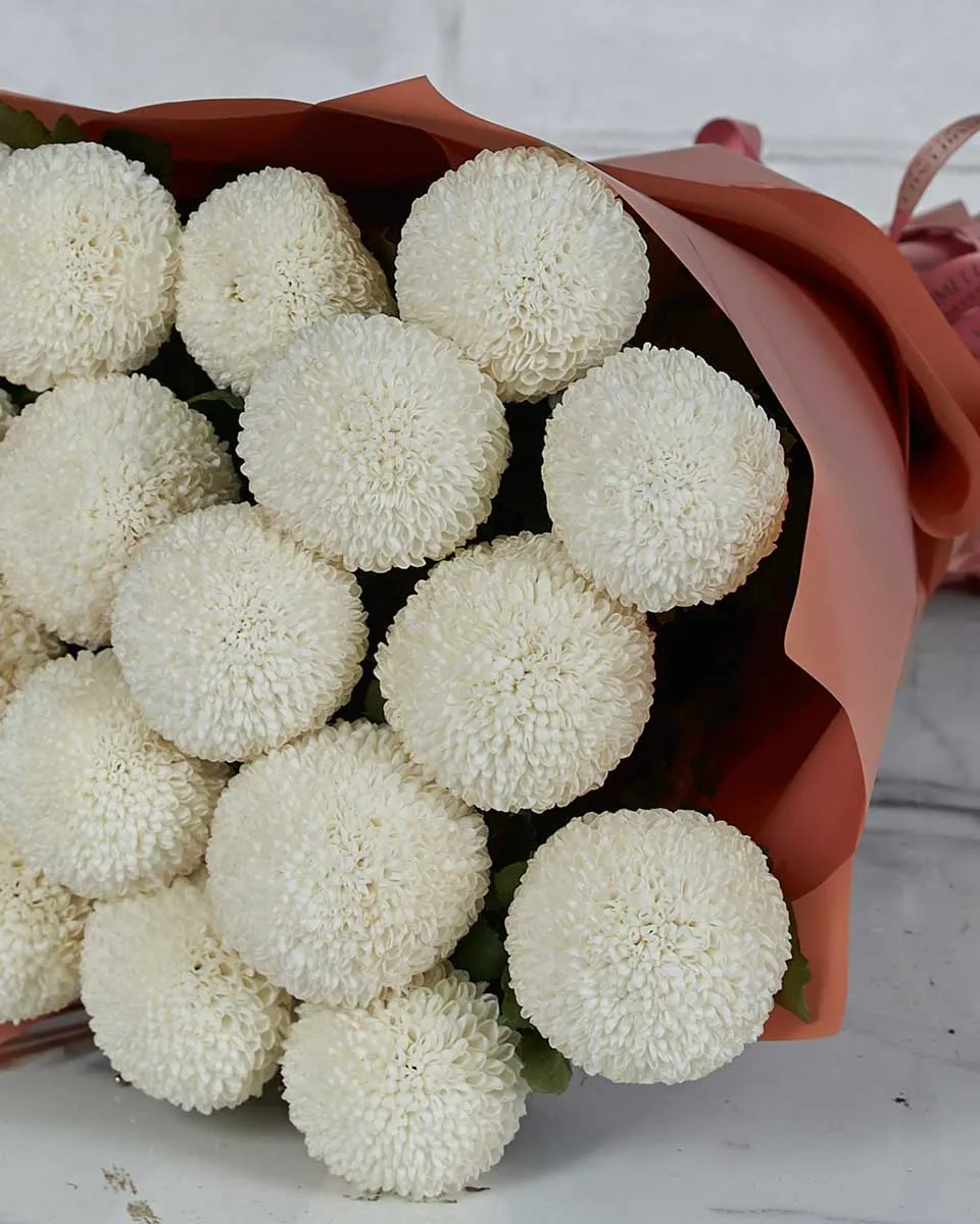 Miss Chrysanthemum Pingpong White  Details3