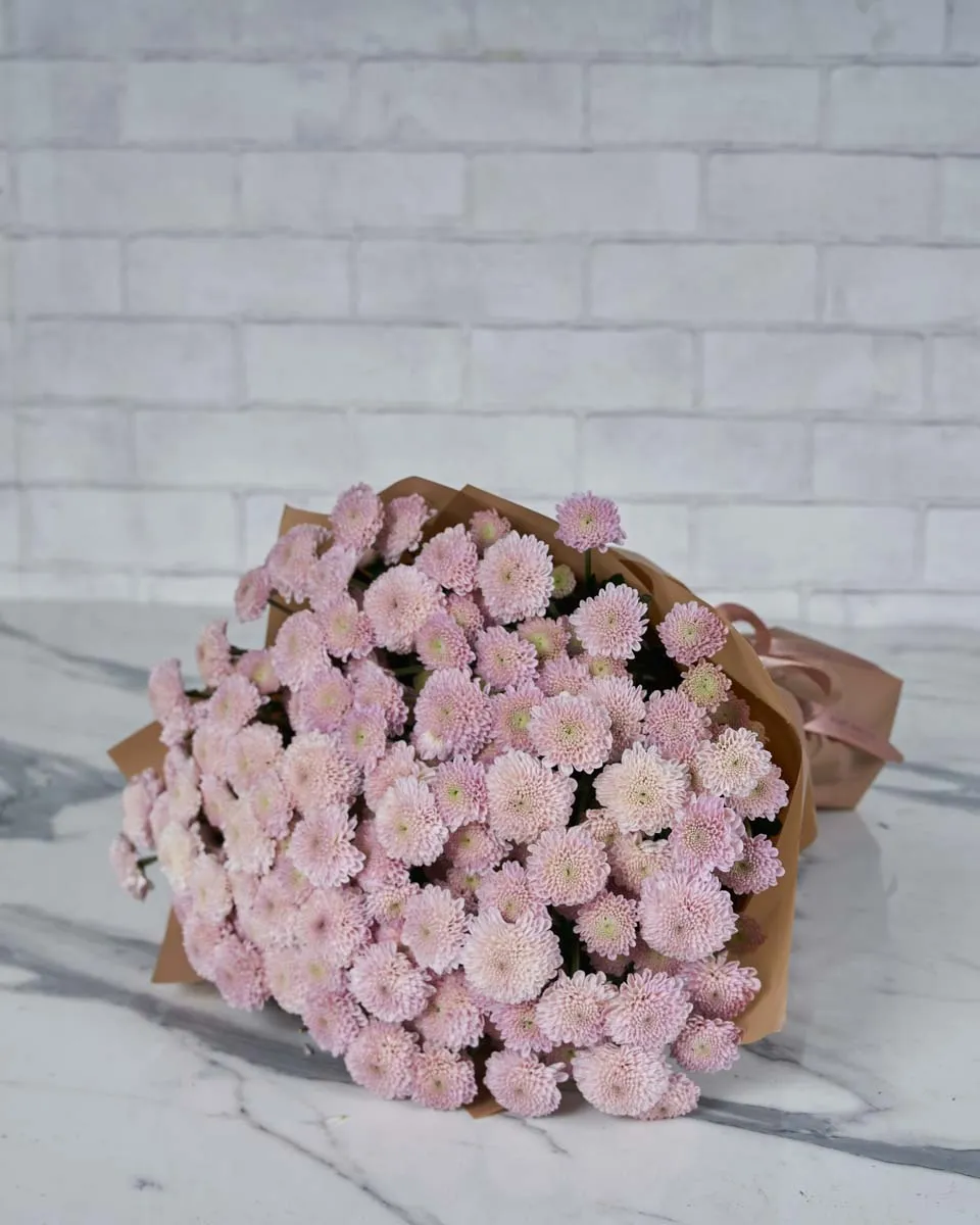 Pretty Mini Santini Pink  Brown