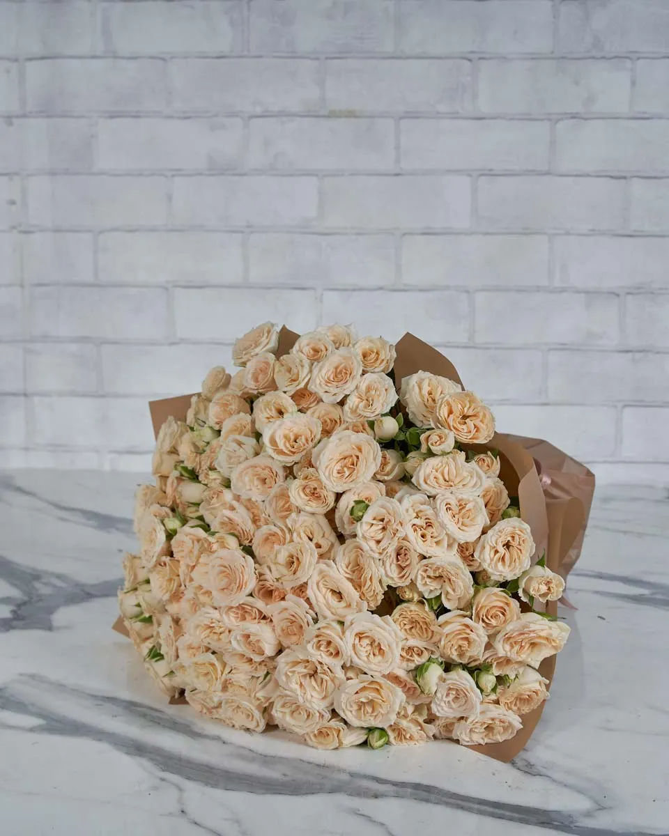 Salinero Blooms  48 Brown