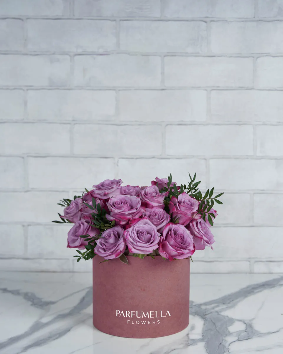 Something Purple medium Purple