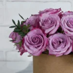 Something Purple small Brown Details