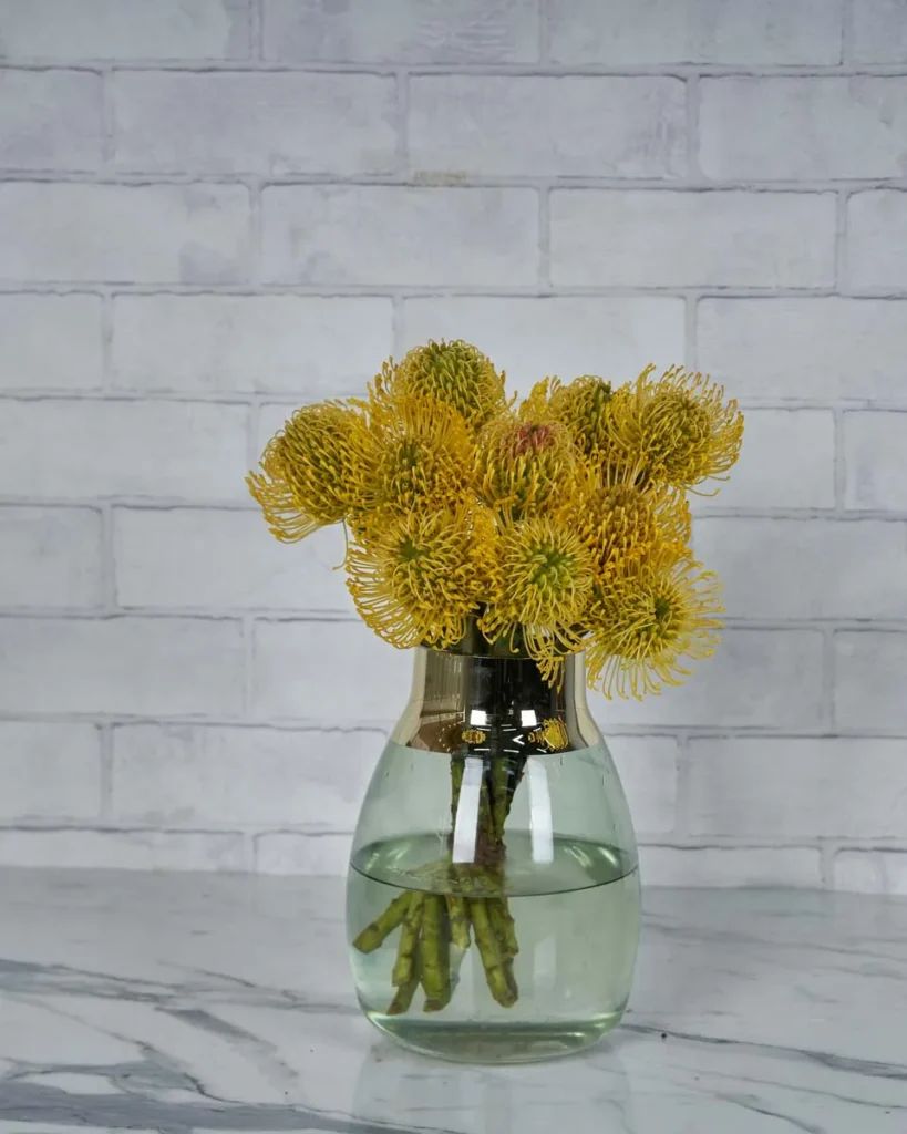 Sunshine Rays  Yellow