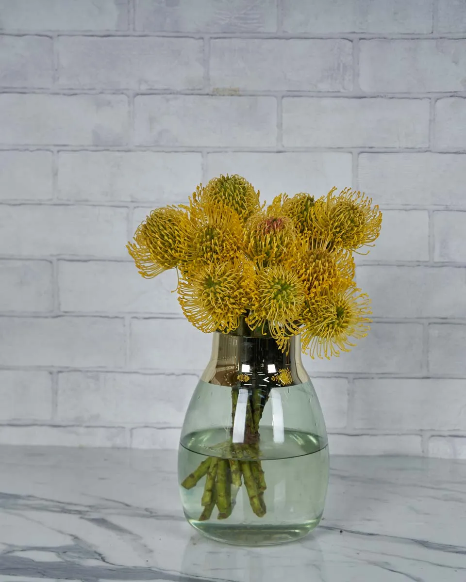 Sunshine Rays  Yellow