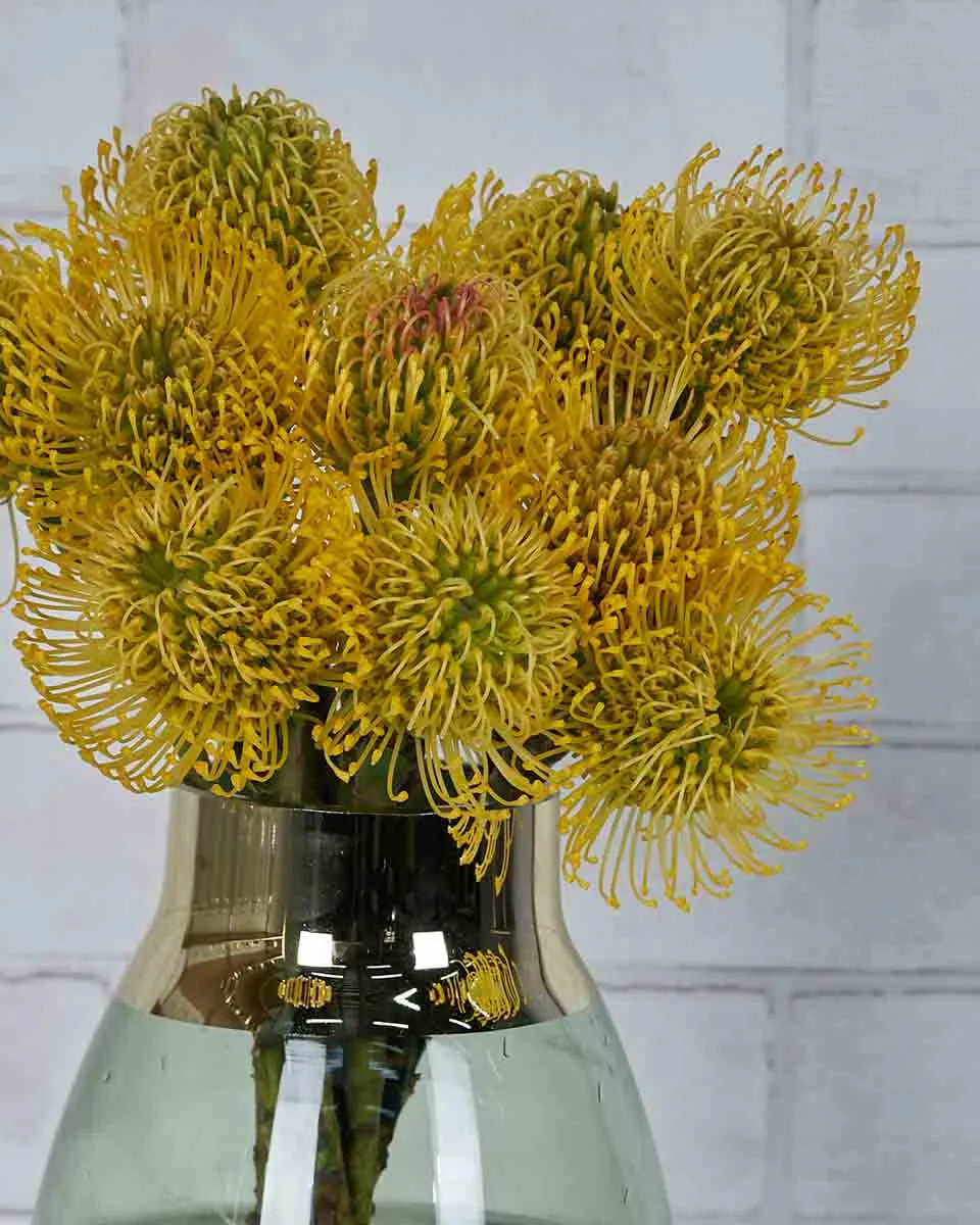 Sunshine Rays  Yellow Details