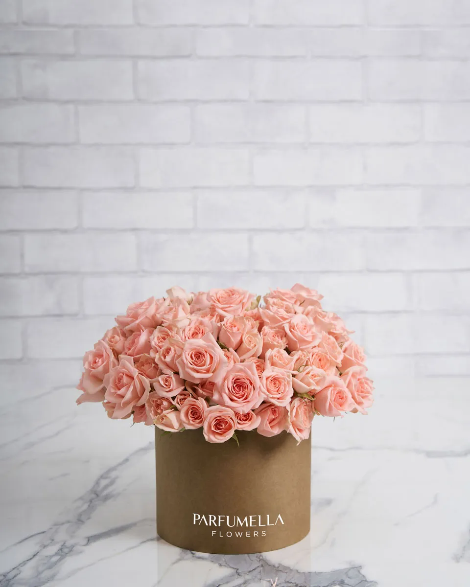 Sweetness in a box medium Brown