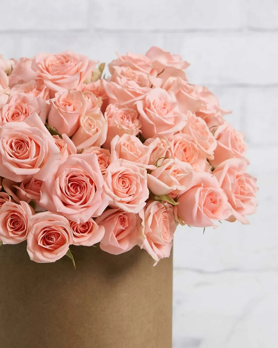 Sweetness in a box medium Brown Details