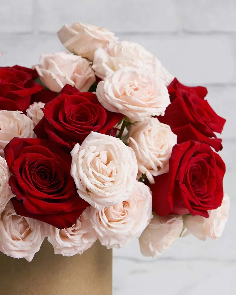 romantic heart medium Brown Details