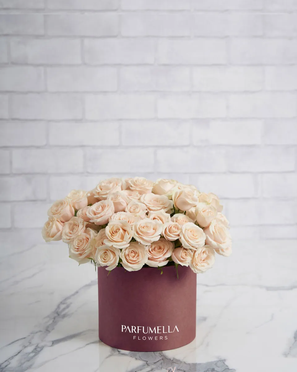 rosa bubble medium Pink