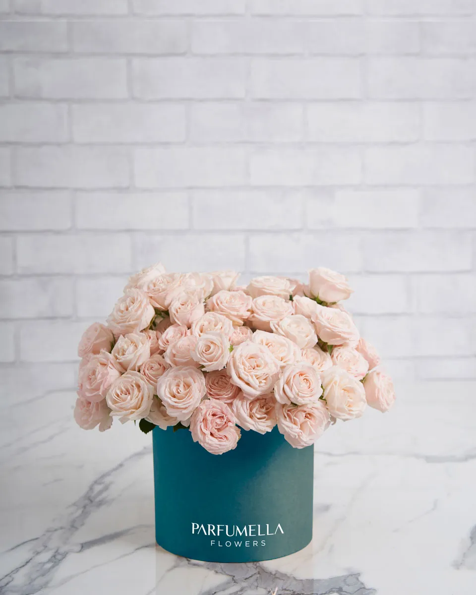 rosy pink medium Blue