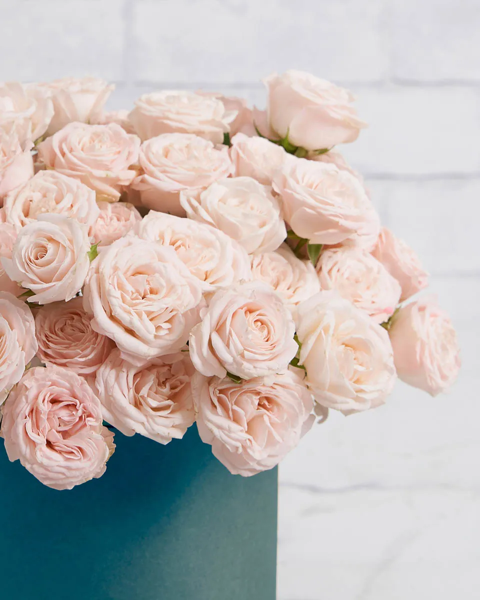 rosy pink medium Blue Details