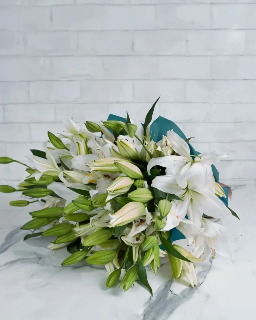Graceful Lily Lily White 24 stems BLUE01