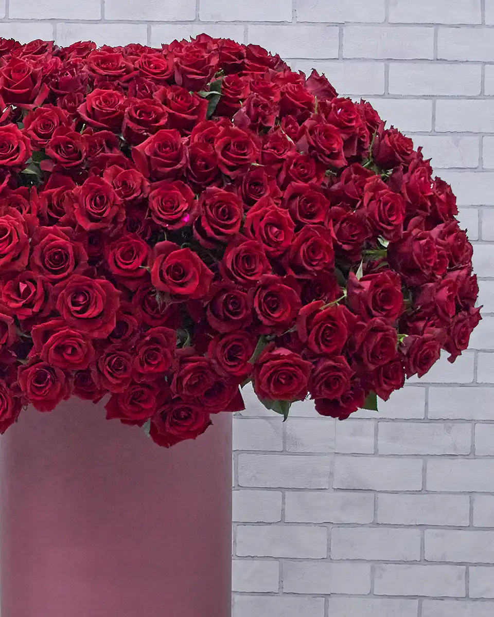 365 Mega Romance Details