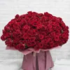 365 Roses of Love
