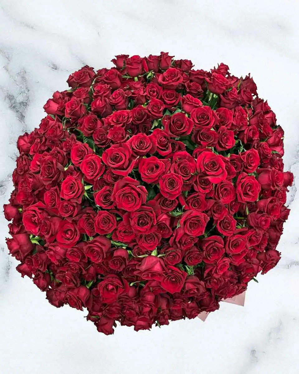 365 Roses of Love Top