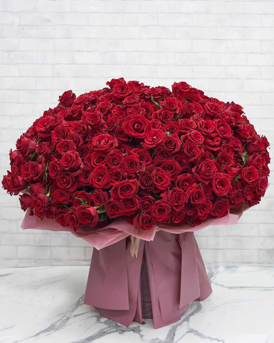 365 Roses of Love