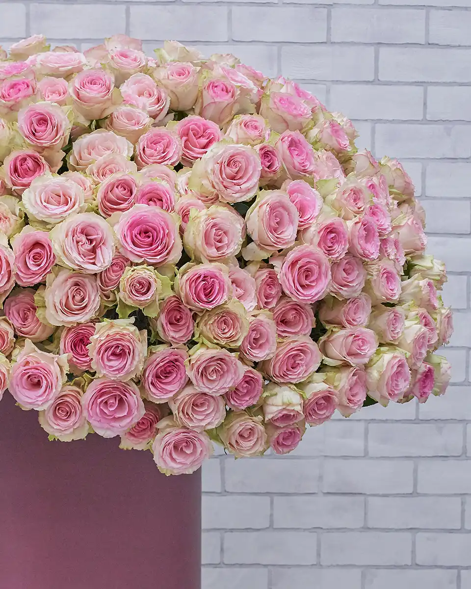 365 Sweet Affection Details