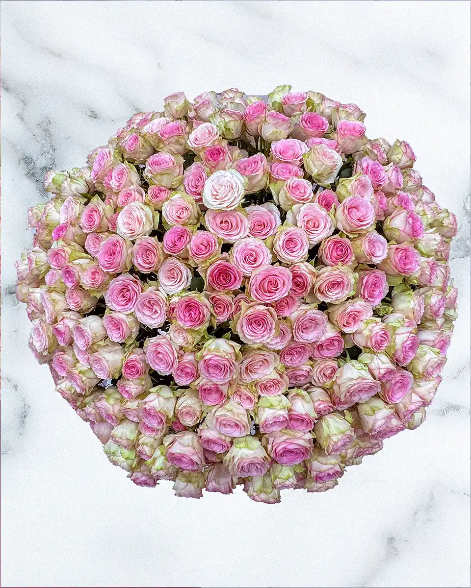 365 Sweet Affection Top