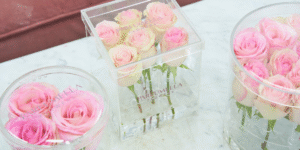 Affordable Flower Boxes in Dubai That Look More Expensive Than They Are