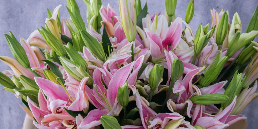 Beyond Roses – Affordable Flower Alternatives for Every Occasion in Dubai