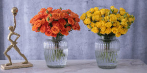 Birthday Blooms How to Choose the Perfect Flowers by Zodiac Sign or Birth Month