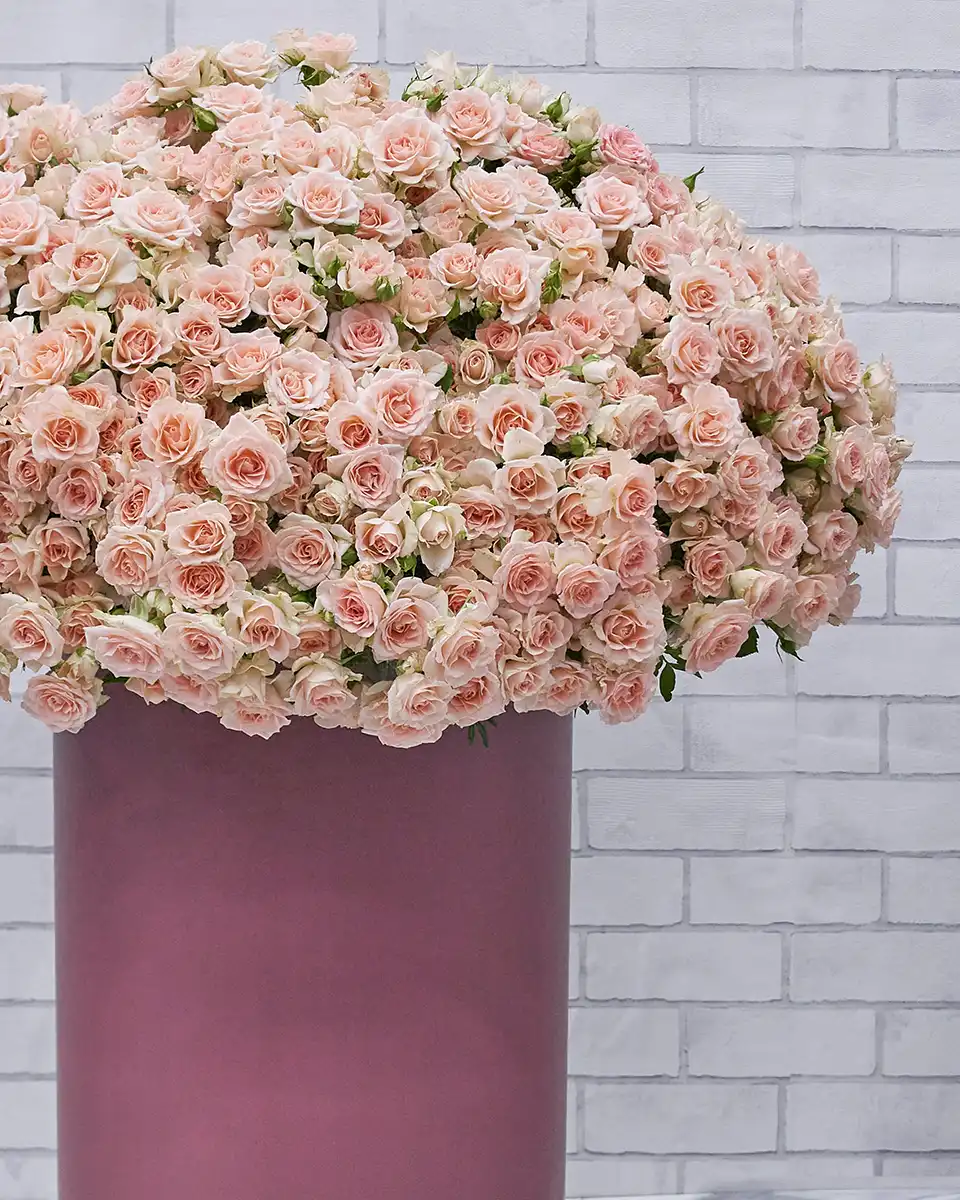 Grand Peach Affair Details