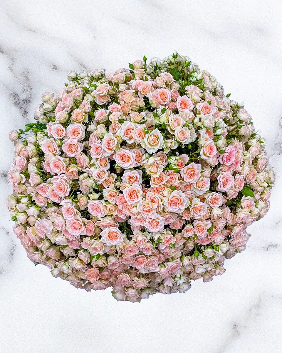 Grand Peach Affair Top