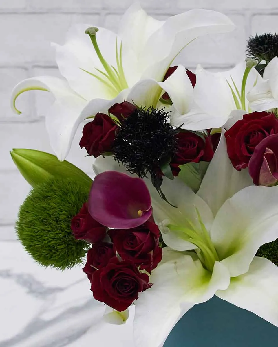 UAE Celebration Details