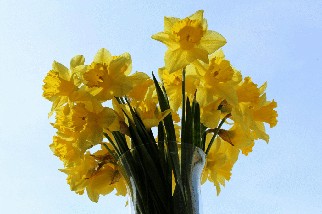 Perfect Flowers For Your Anniversary Parfumella dubai UAE