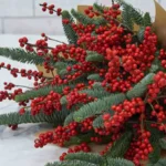 Red for Christmas detail