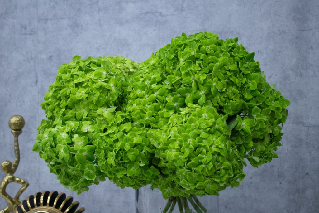 Symbolism Behind Your Favourite Flowers What Your Bouquet Means Parfumella Dubai