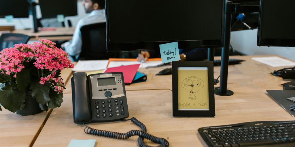 Affordable Flower Arrangements For Office And Corporate Gifts In Dubai