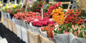 Affordable Flower Delivery Across All Emirates Comparing Prices And Services