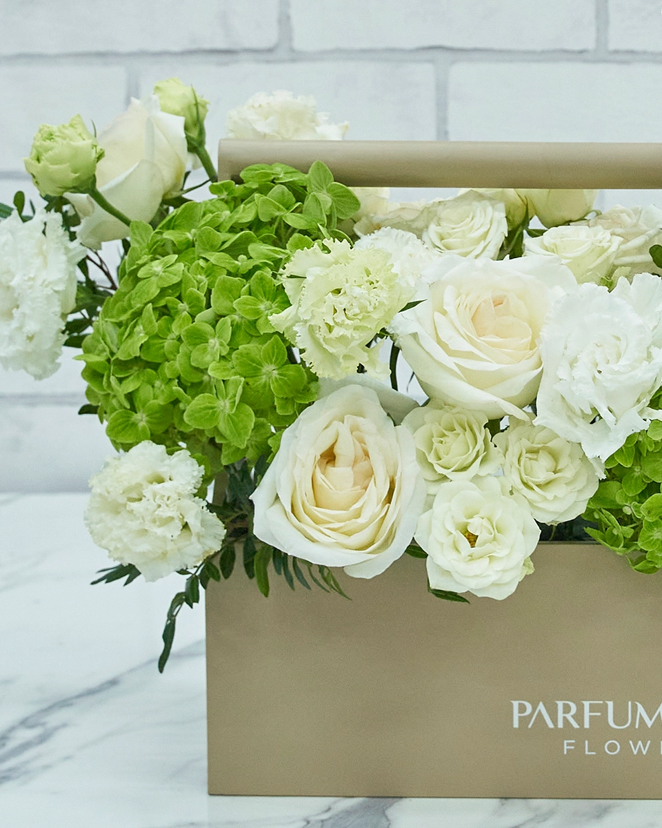 Box of Serenity details